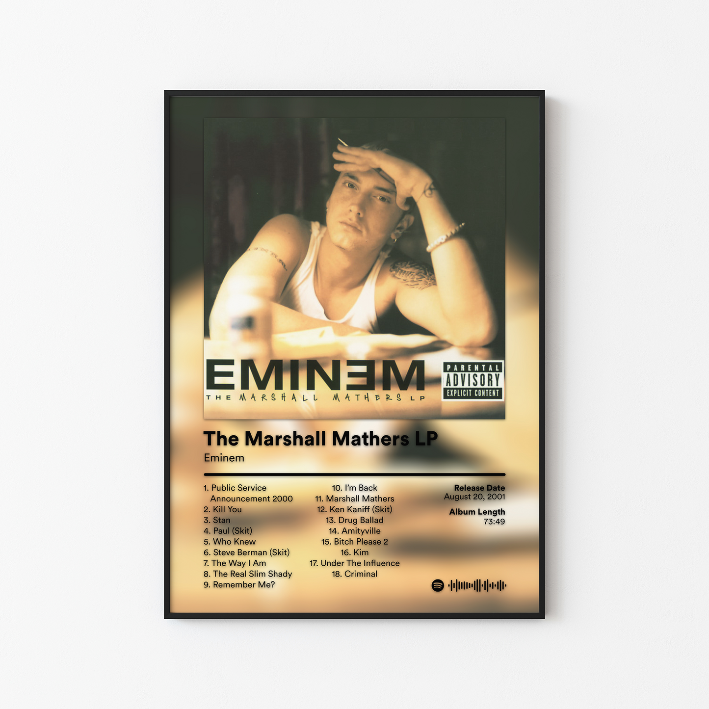 Eminem Album Posters
