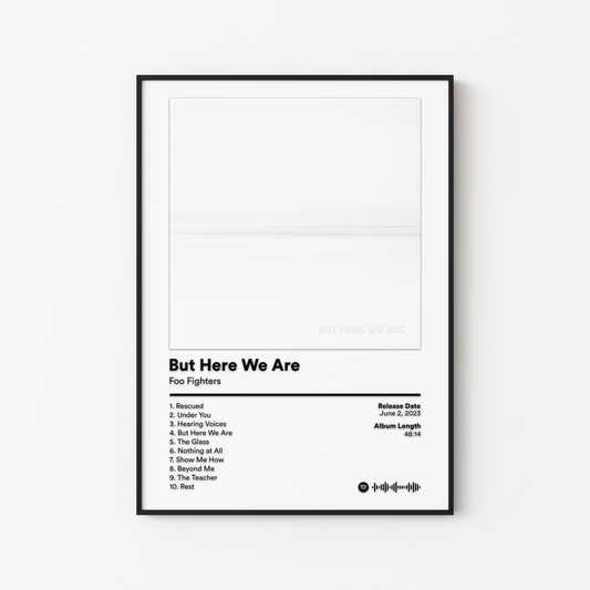 Foo Fighters Album Posters