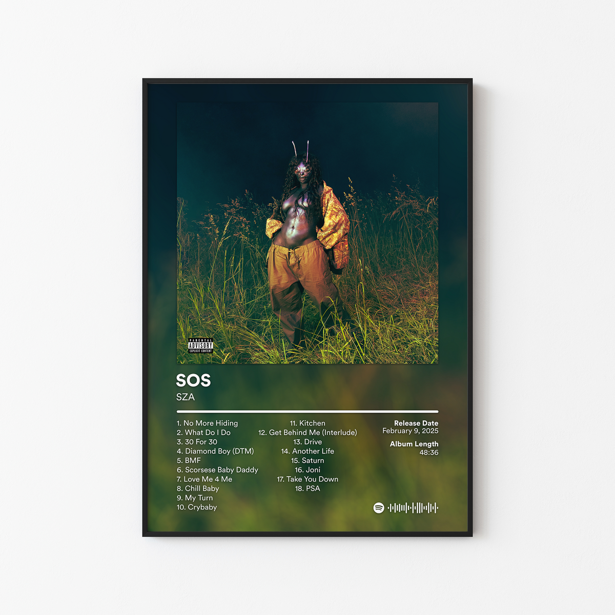 SZA SOS Deluxe LANA Album Poster