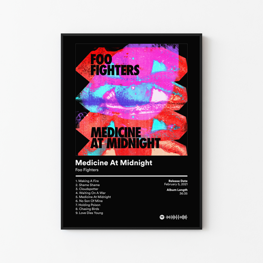 Foo Fighters Album Posters