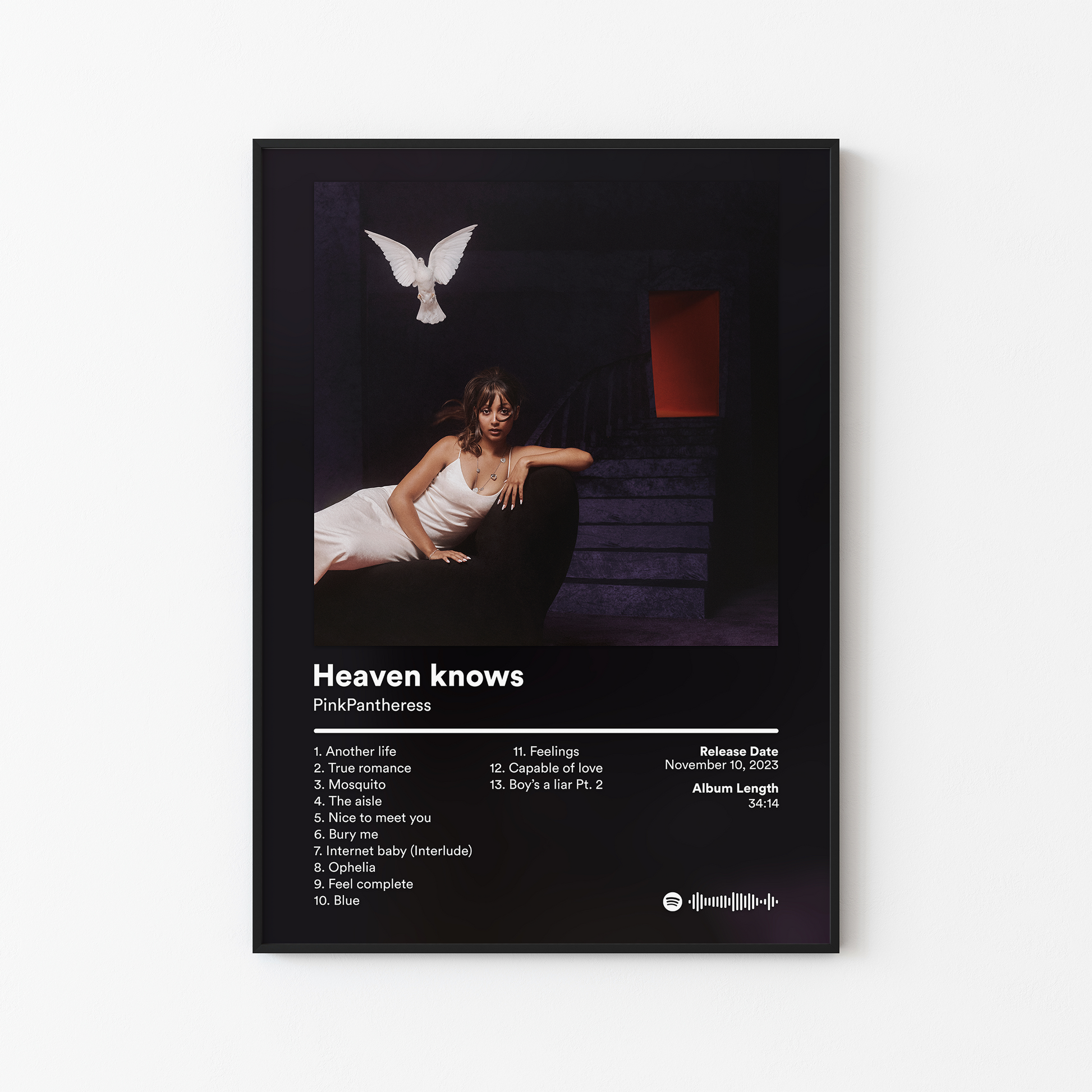PinkPantheress Heaven knows Album Poster
