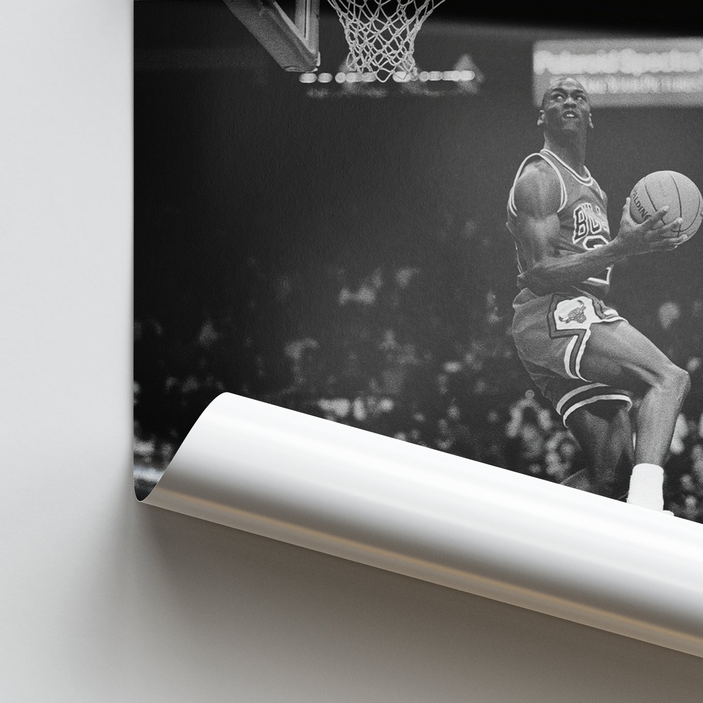 Michael Jordan Signed Poster