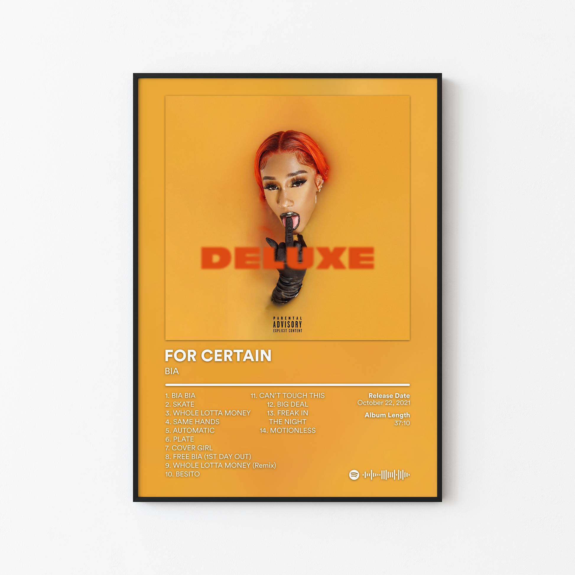 BIA FOR CERTAIN DELUXE Album Poster