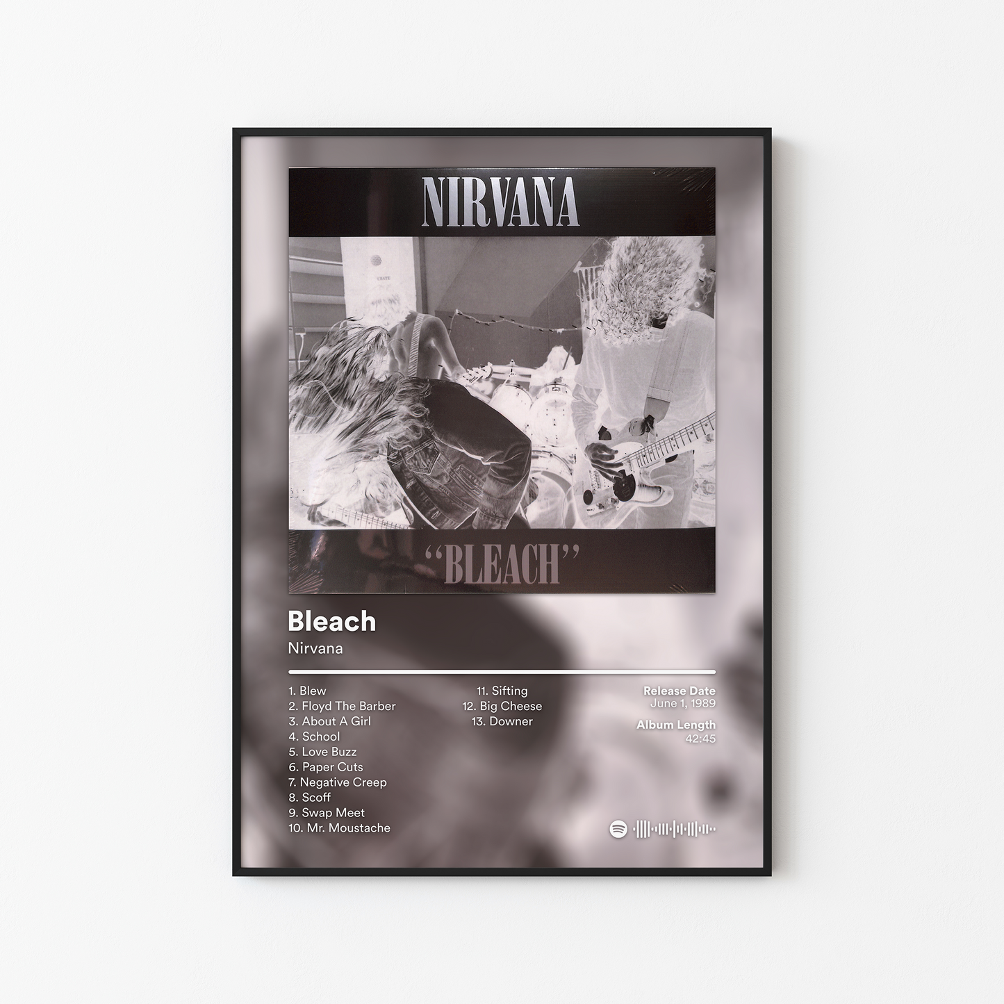 Nirvana Album Posters