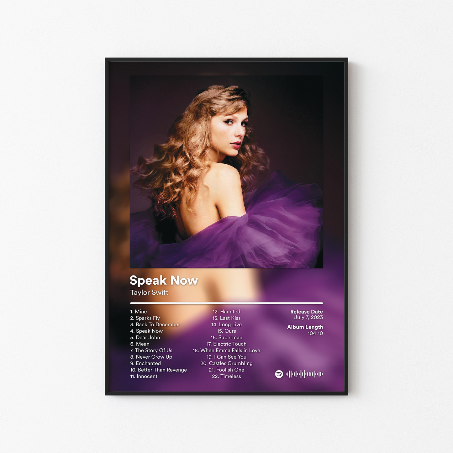 Taylor Swift Album Posters