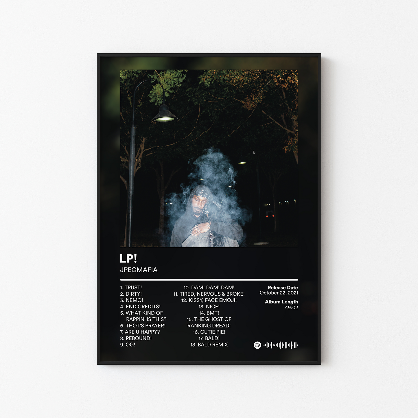 JPEGMAFIA LP Album Poster