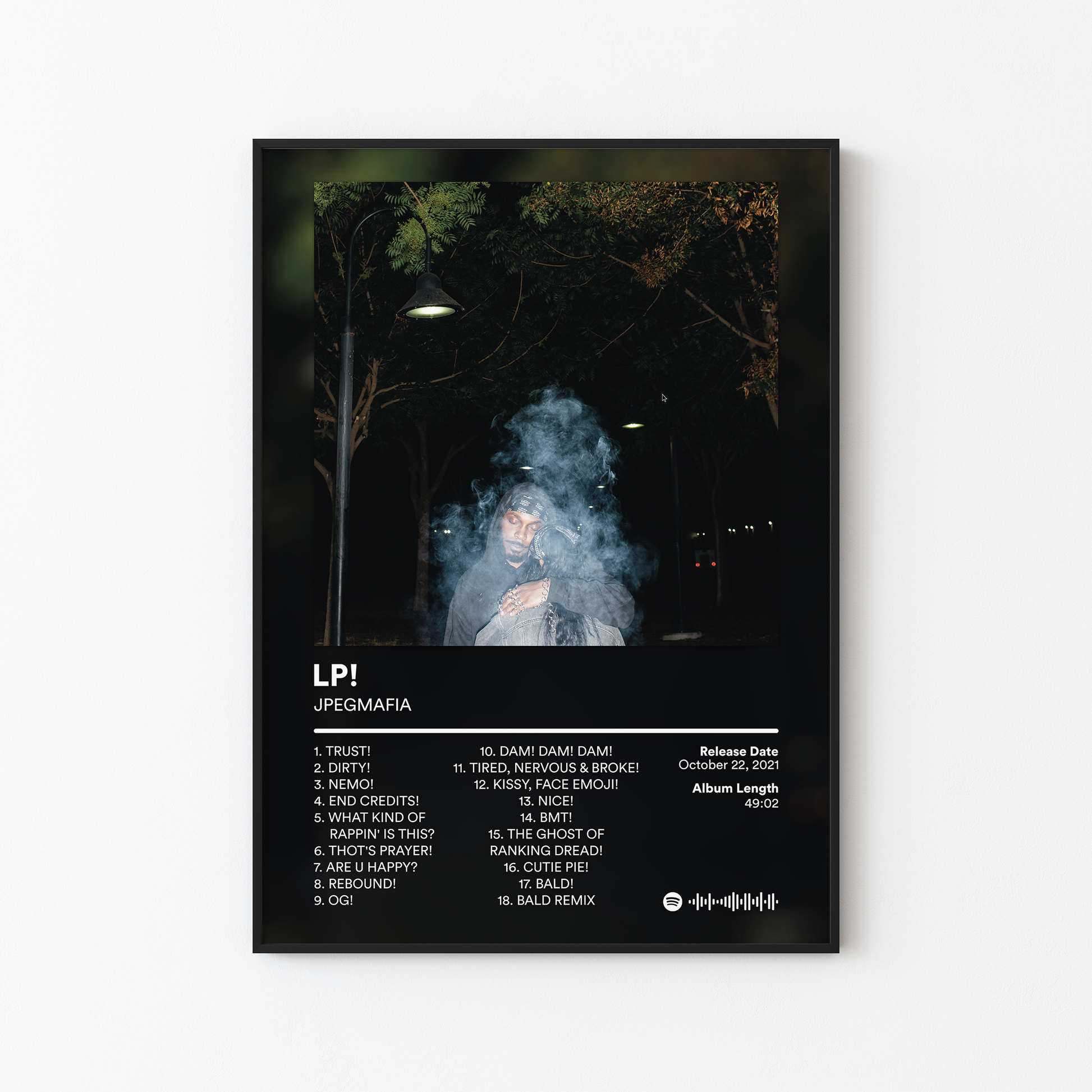 JPEGMAFIA LP Album Poster