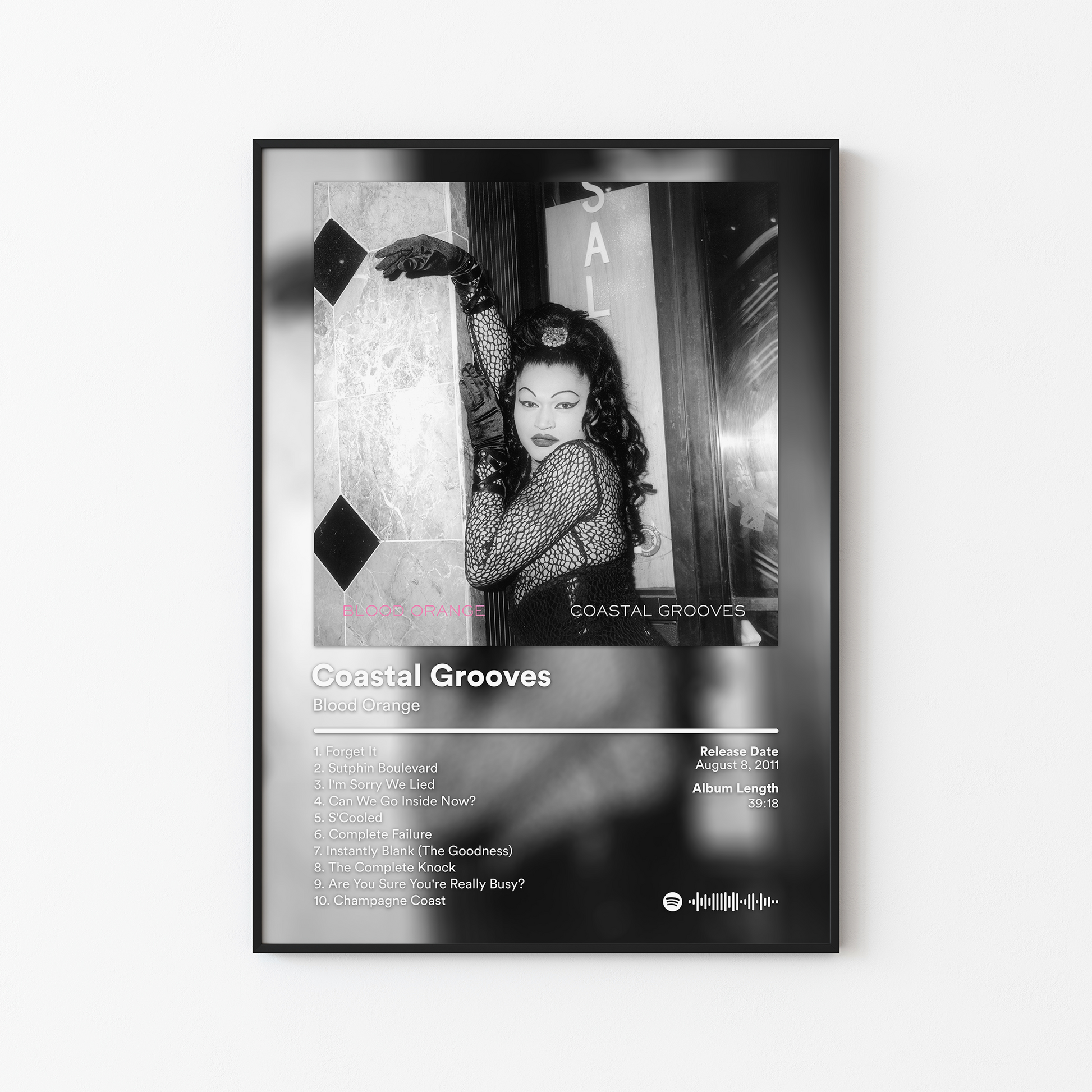 Blood Orange Coastal Grooves Album Poster