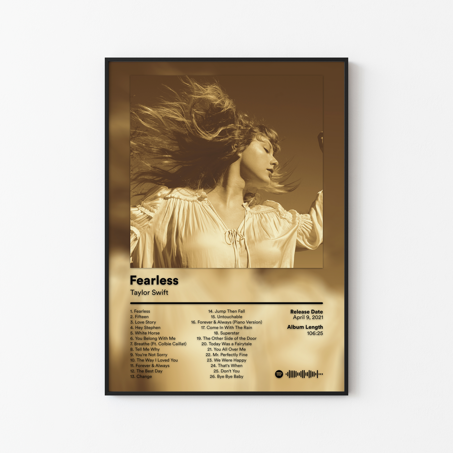 Taylor Swift Album Posters