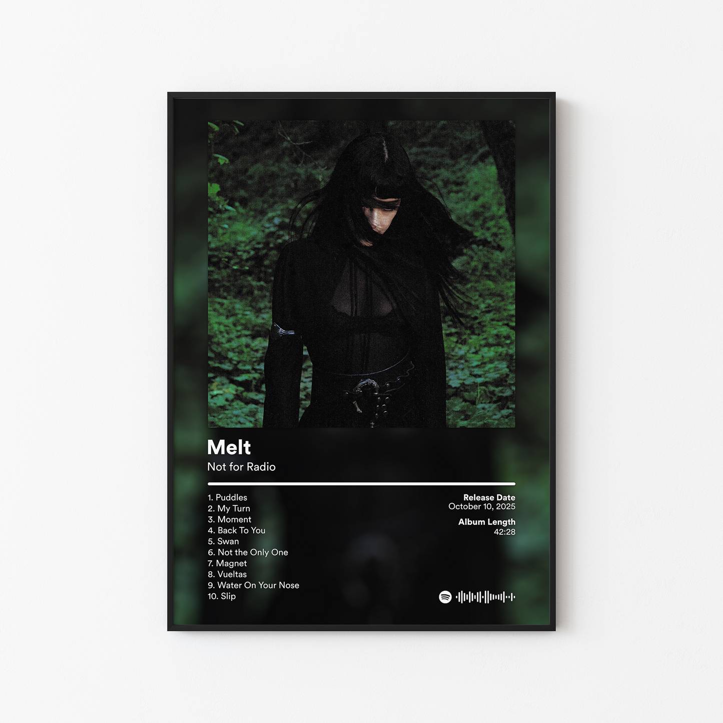 Not for Radio Melt Album Poster