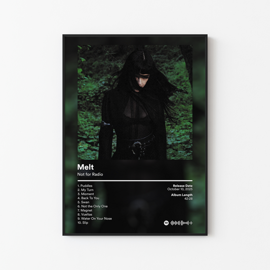 Not for Radio Melt Album Poster