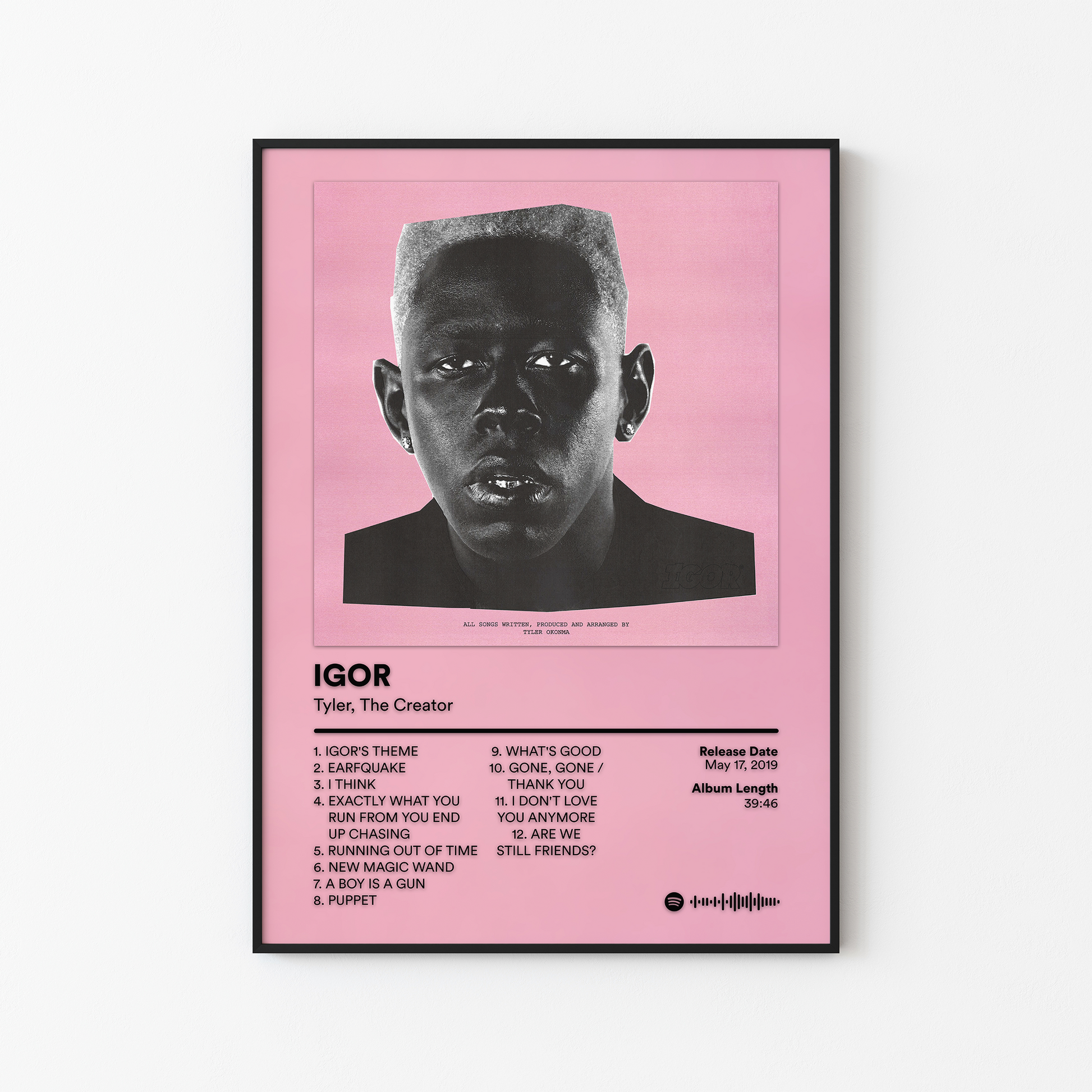 Tyler The Creator IGOR Album Poster