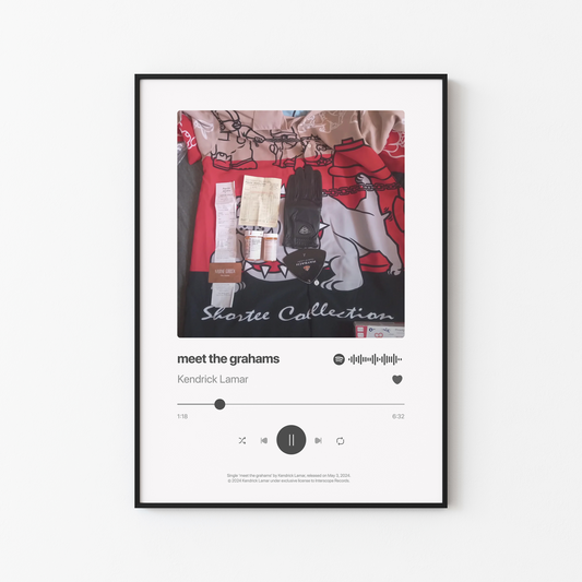 meet the grahams Poster