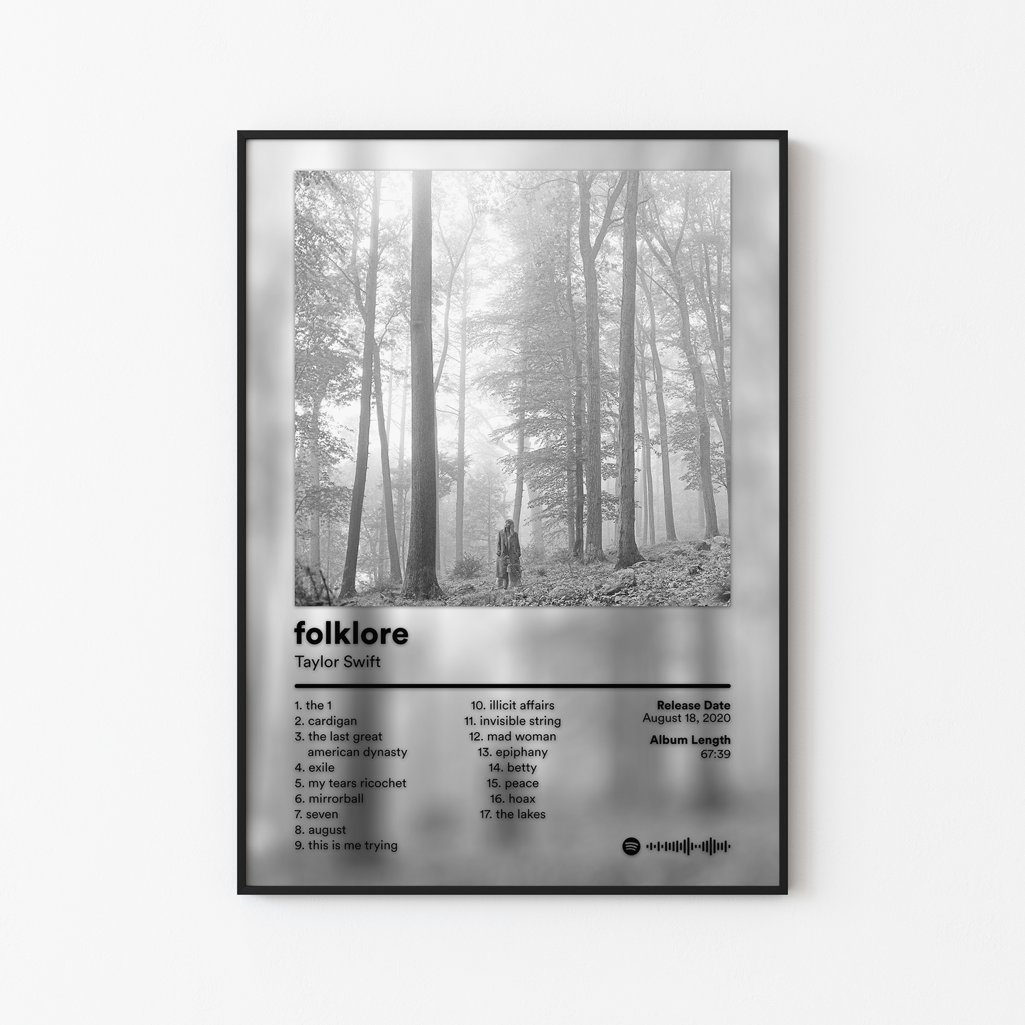 Taylor Swift Album Posters