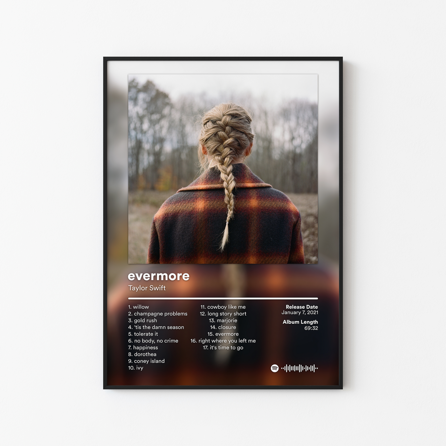 Taylor Swift Album Posters