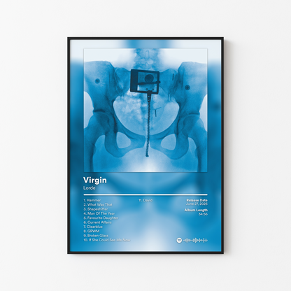 Lorde Album Posters