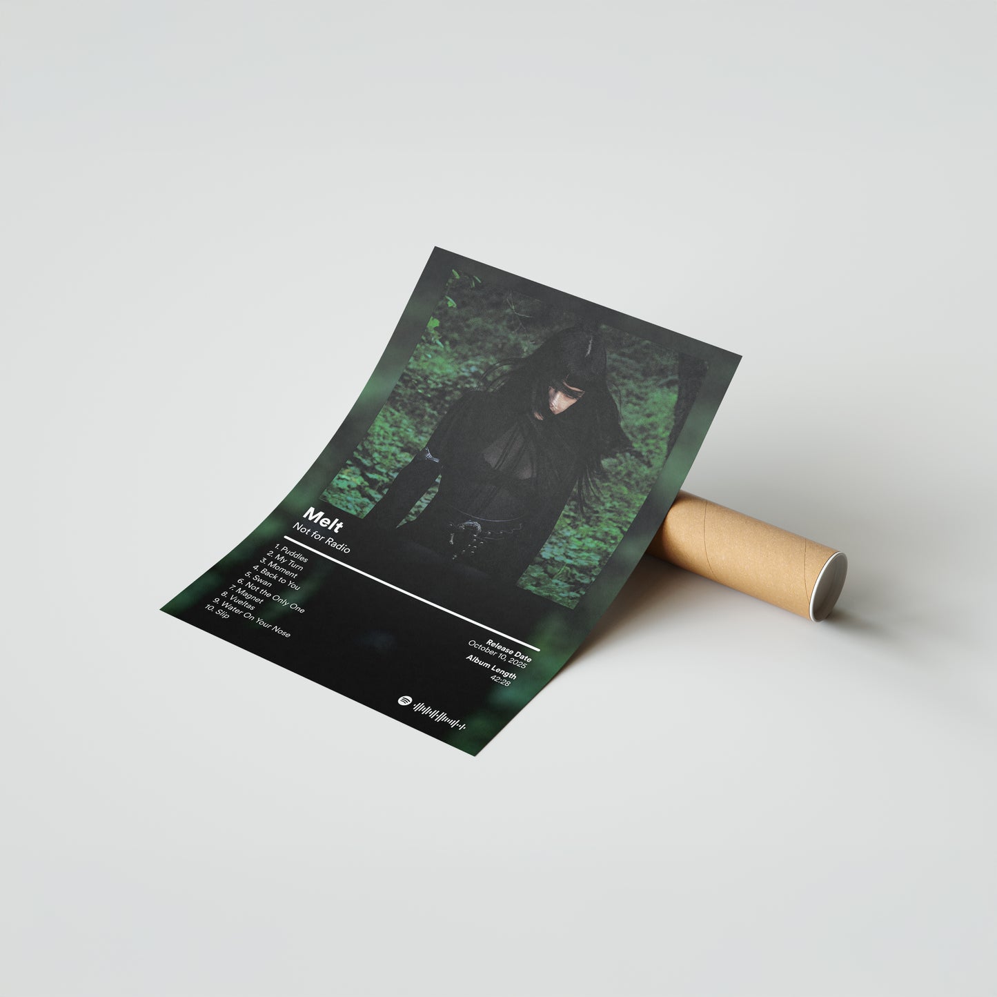 Not for Radio Melt Album Poster