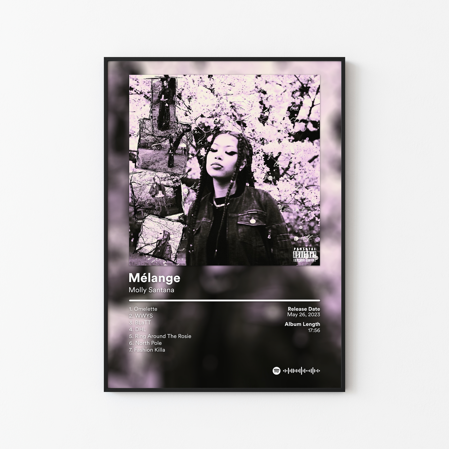 Molly Santana Melange Album Poster