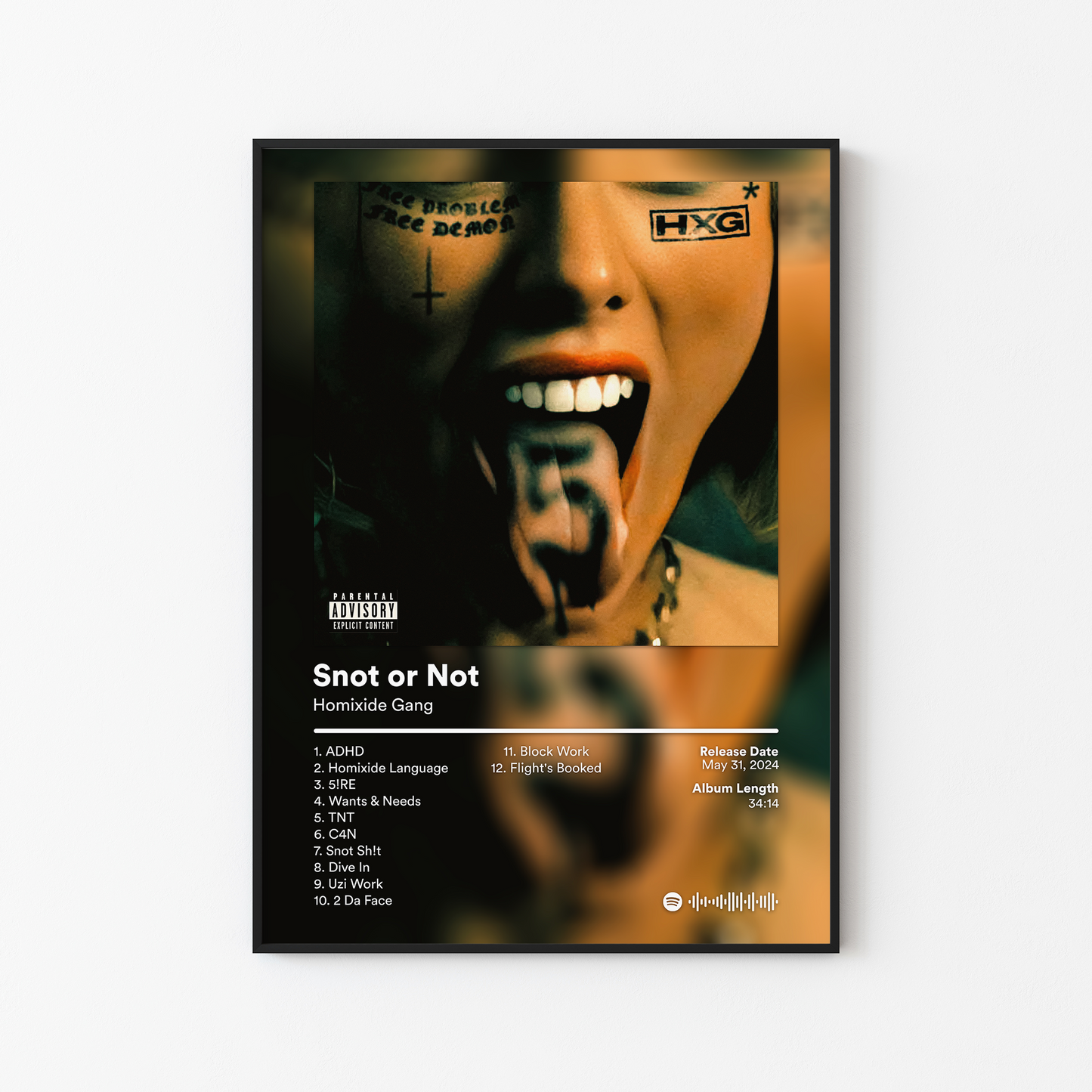 Homixide Gang Album Posters