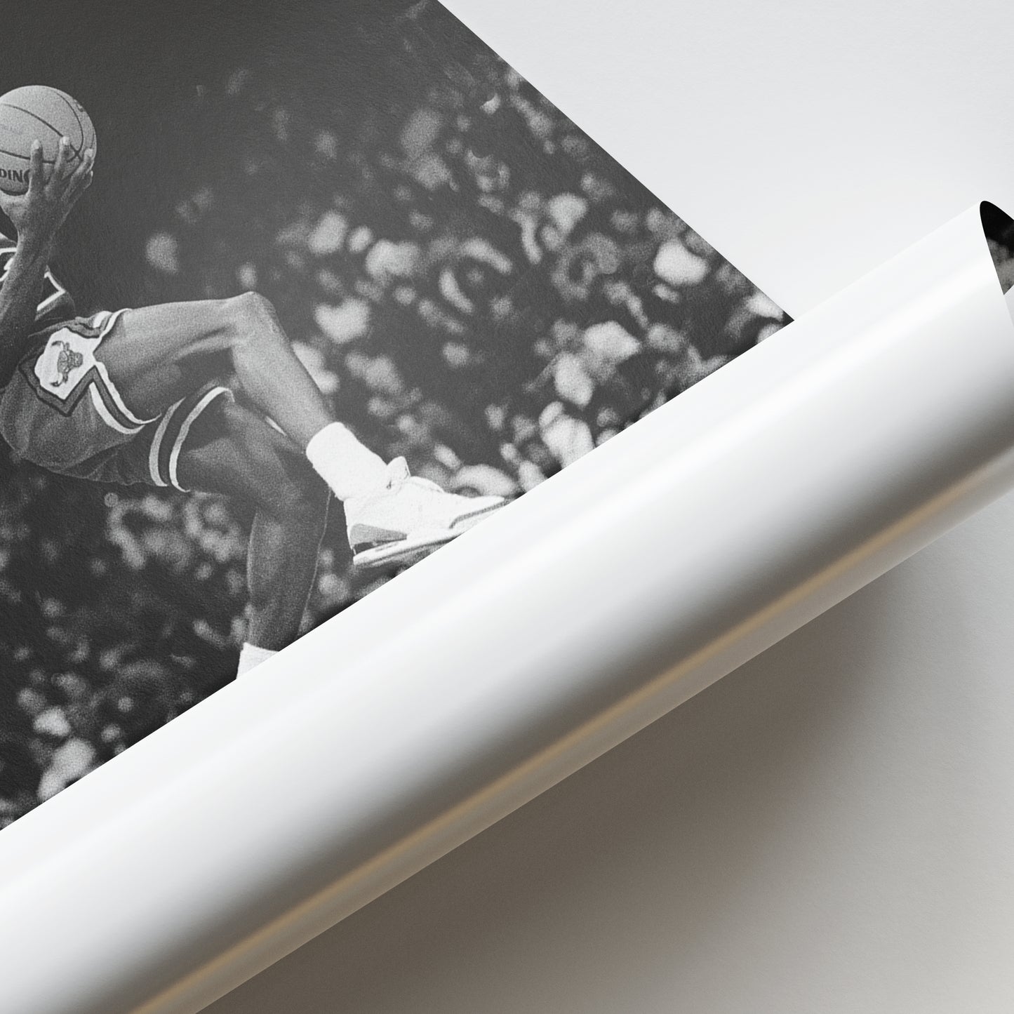 Michael Jordan Signed Poster