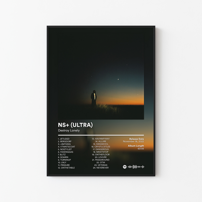 Destroy Lonely Album Posters