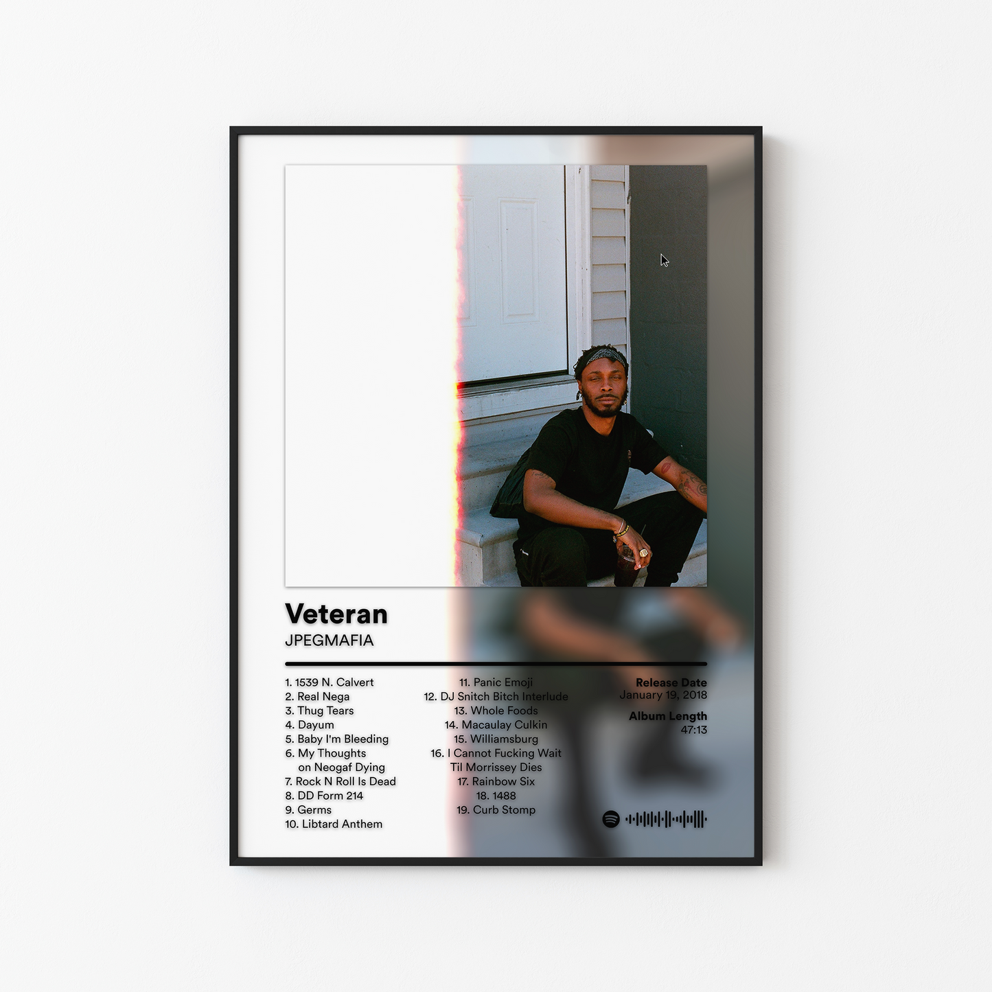 JPEGMAFIA Album Posters