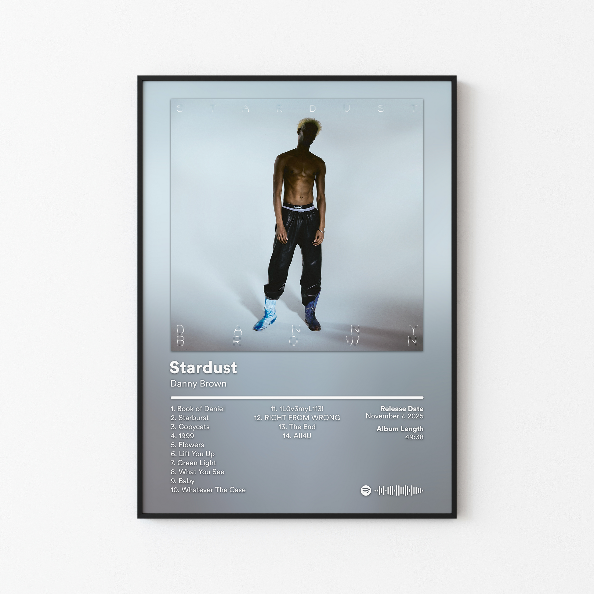 Danny Brown Stardust Album Poster