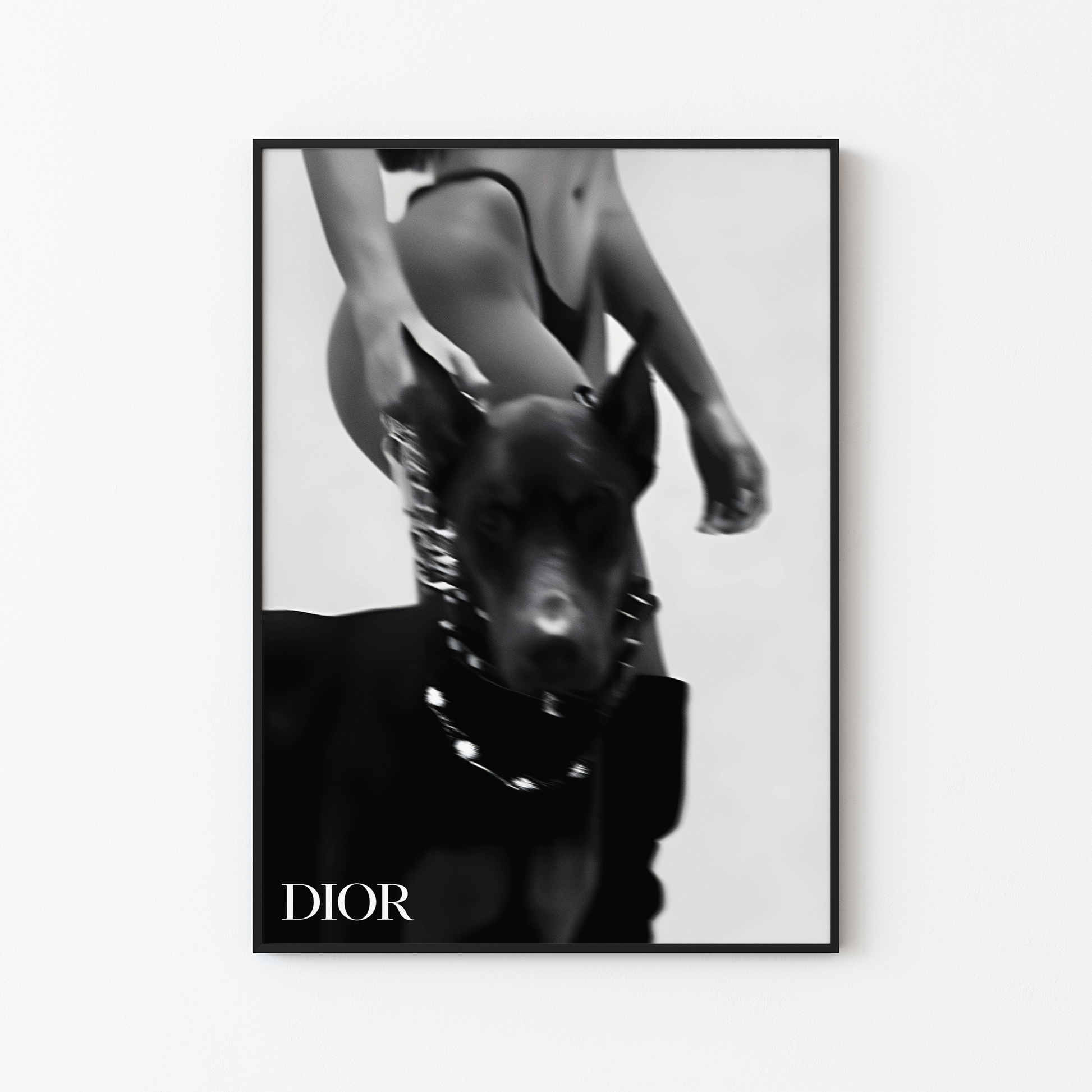 Dior Dobermann Aesthetic Poster