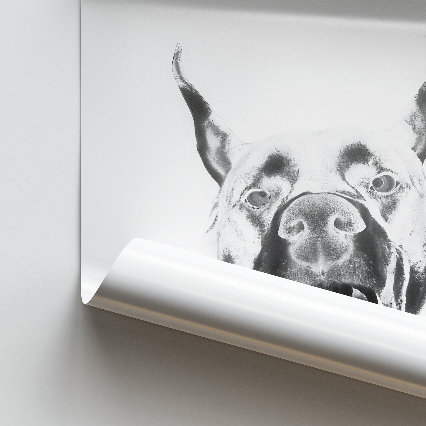 Dior Dobermann Poster