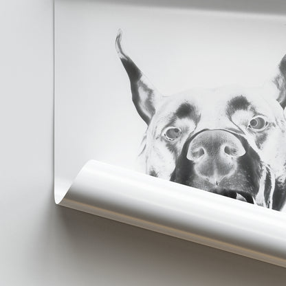 Dior Dobermann Poster