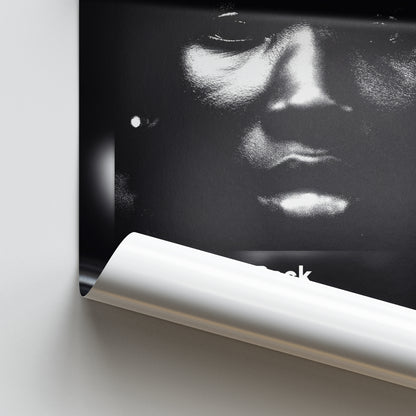 Pz' Album Posters