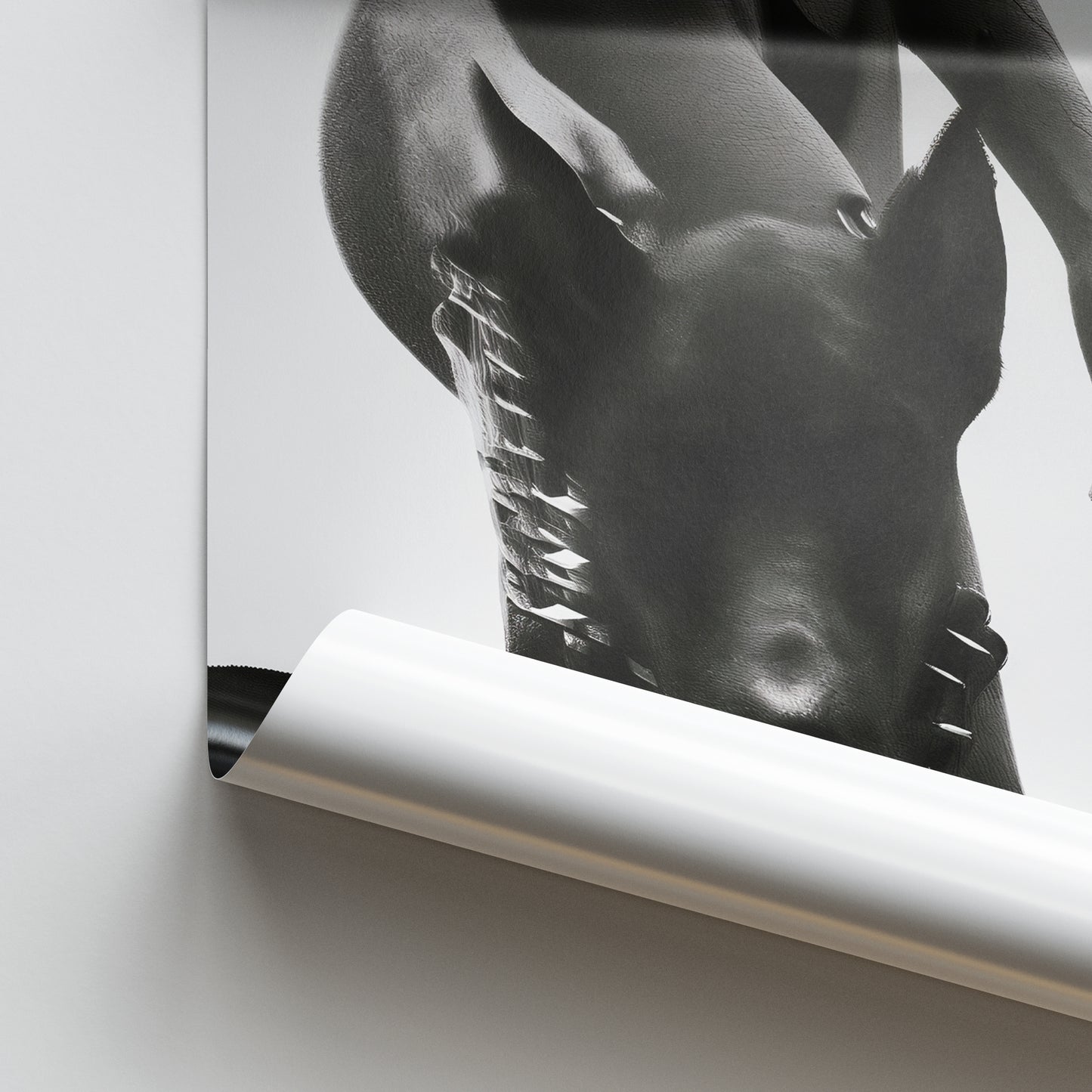 Dior Dobermann Poster
