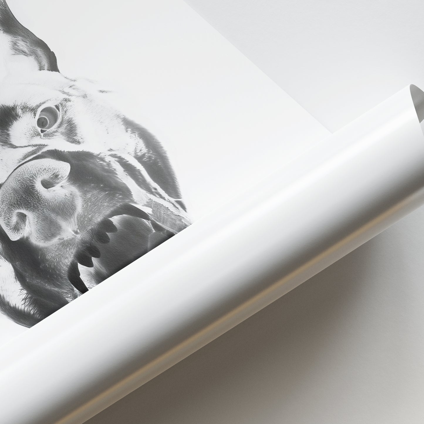 Dior Dobermann Poster