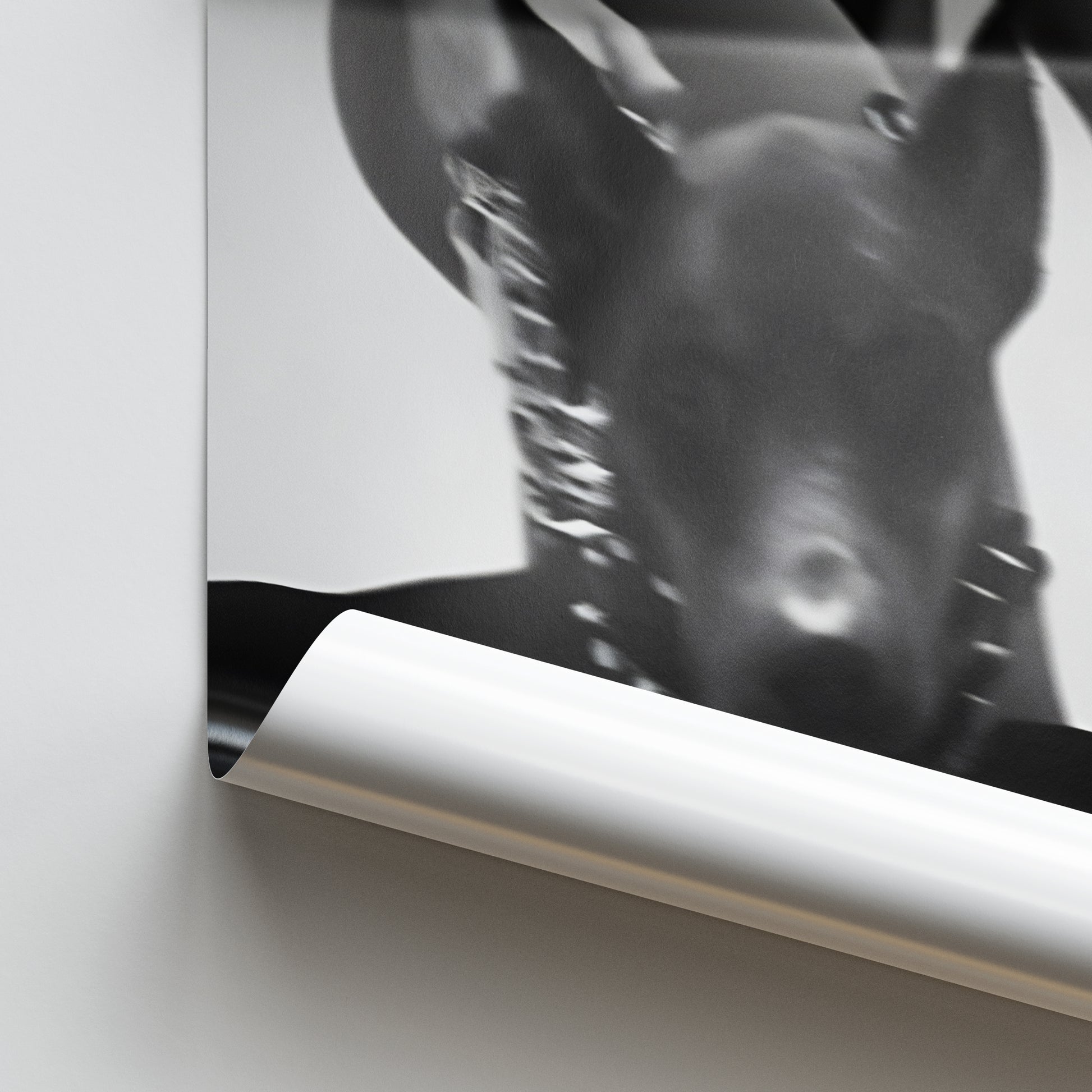 Dior Dobermann Aesthetic Poster