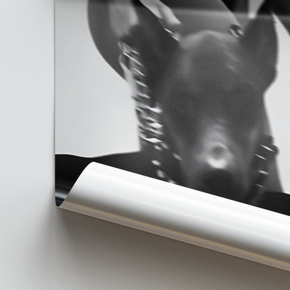 Dior Dobermann Aesthetic Poster