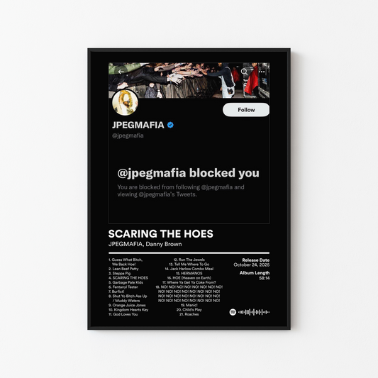 JPEGMAFIA SCARING THE HOES DIRECTORS CUT Album Poster