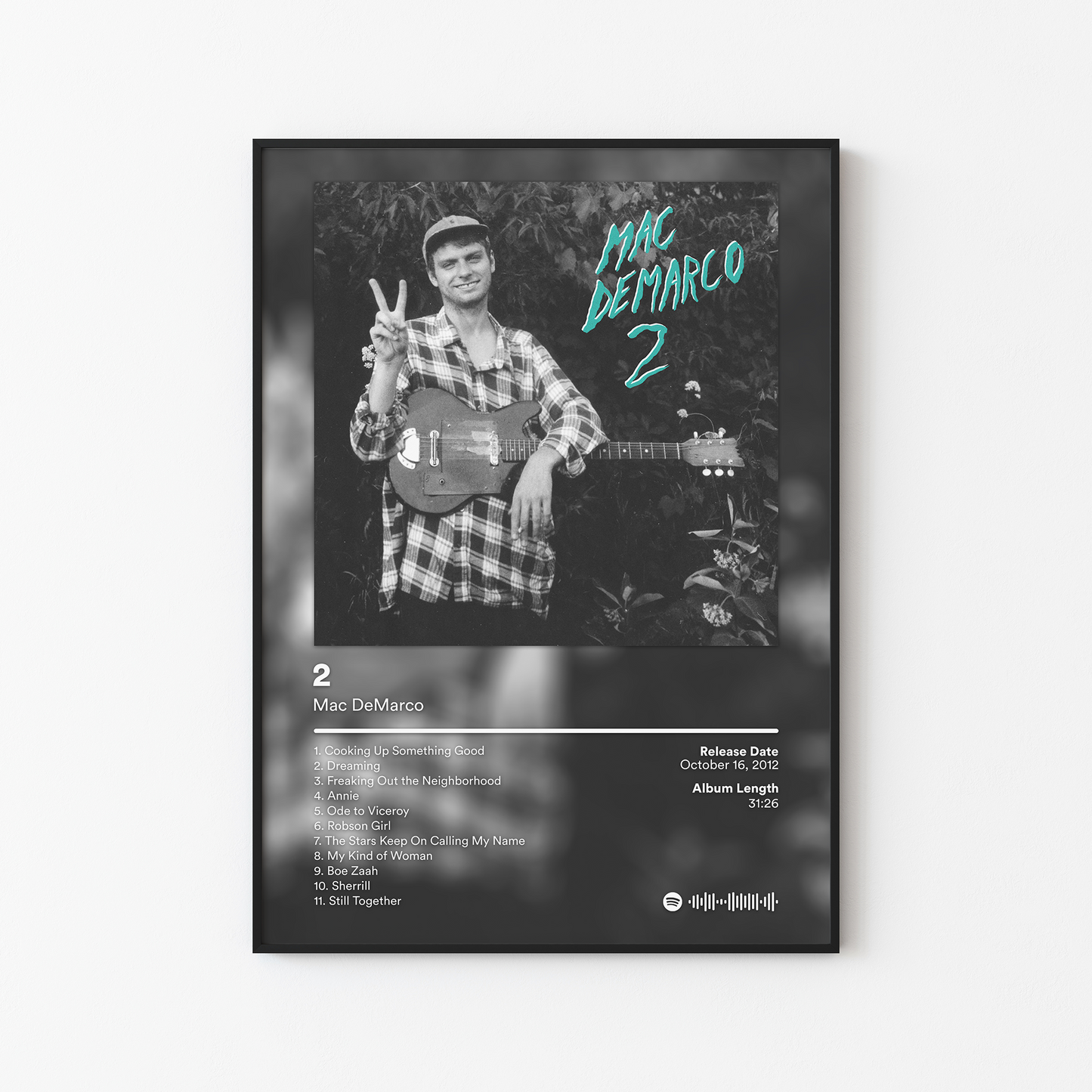 Mac DeMarco 2 Album Poster