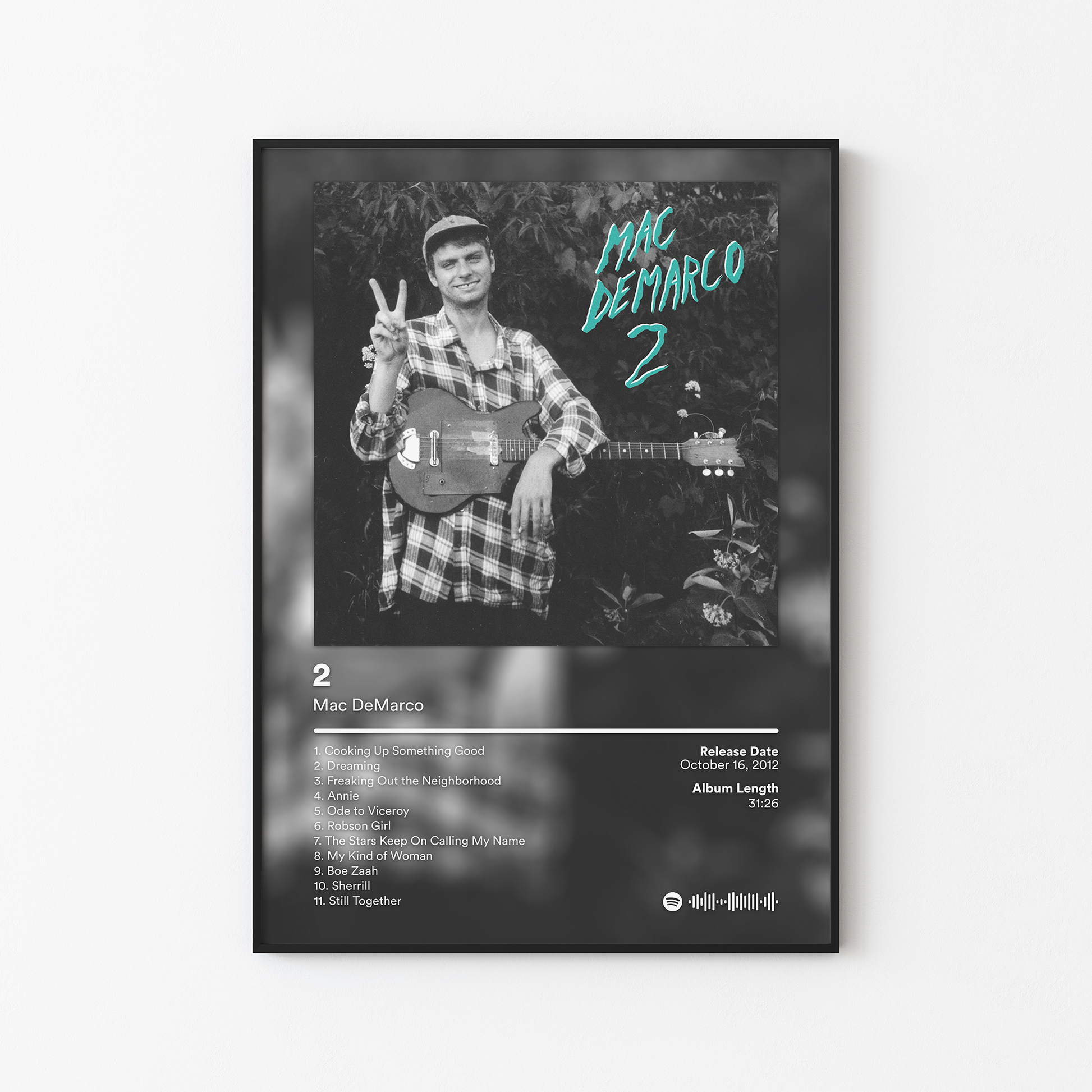 Mac DeMarco 2 Album Poster