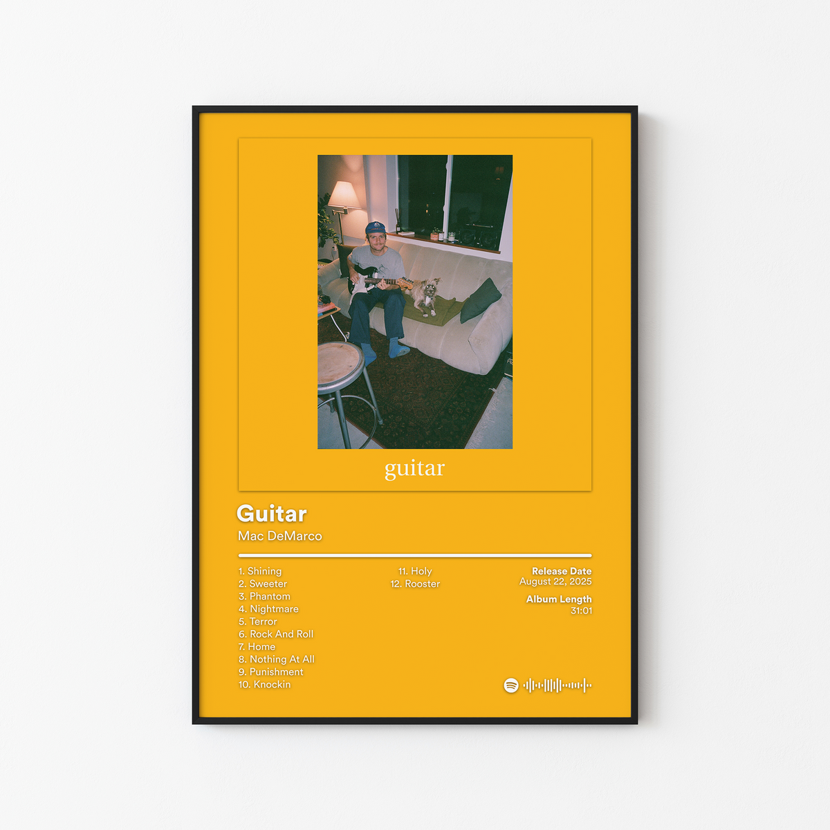 Mac DeMarco Guitar Album Poster