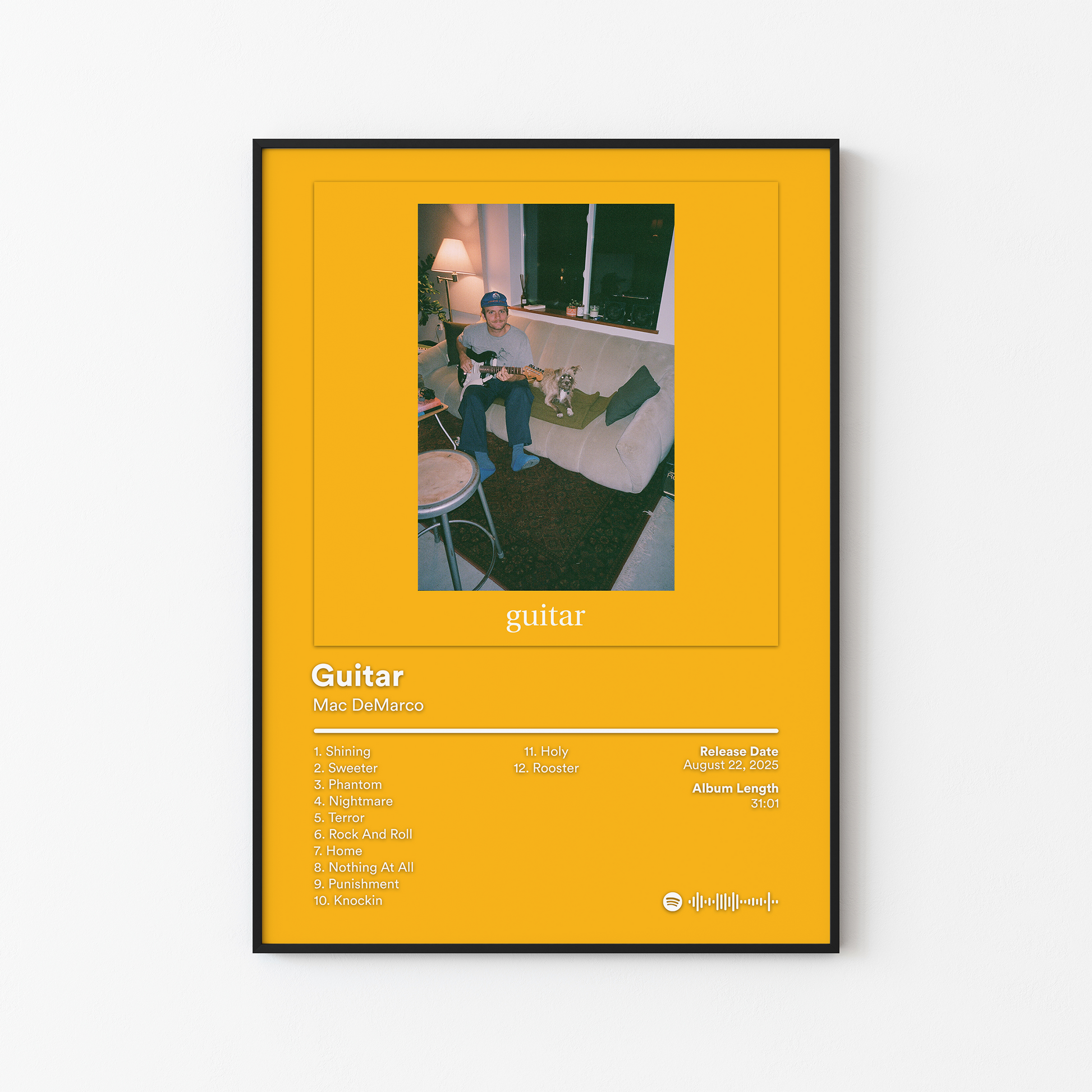 Mac DeMarco Guitar Album Poster