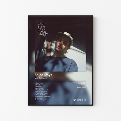 Mac DeMarco Salad Days Album Poster