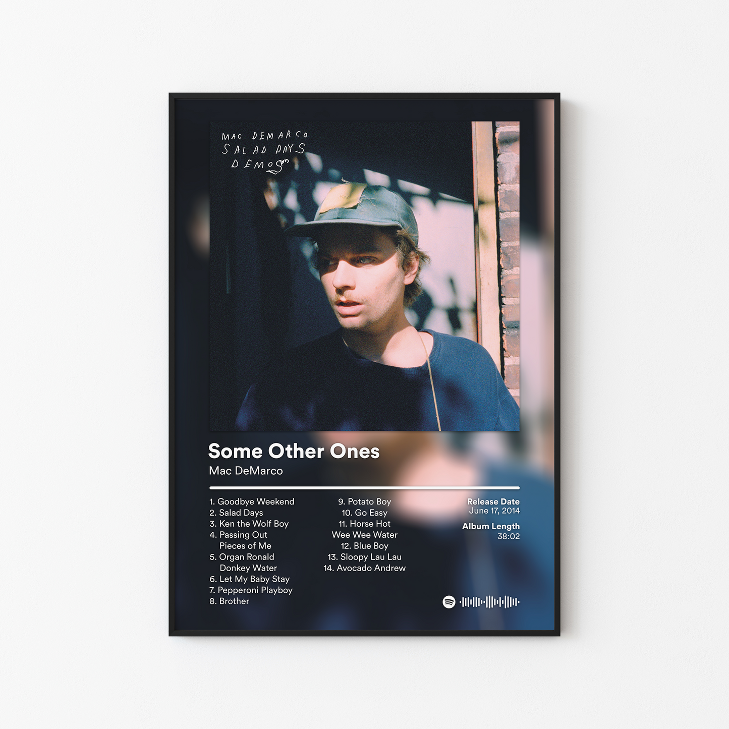 Mac DeMarco Some Other Ones Album Poster