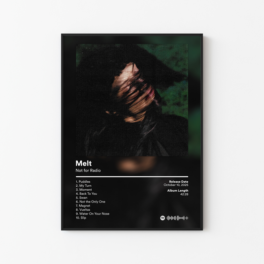 Not for Radio Melt Album Poster