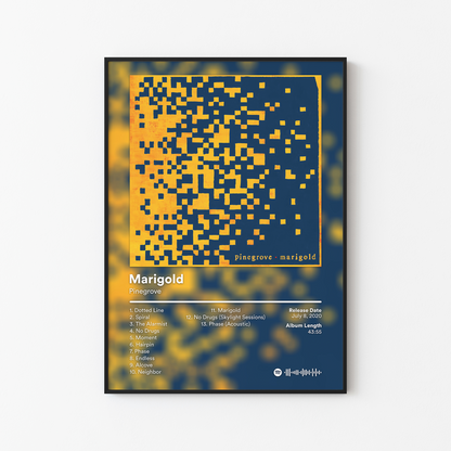Pinegrove Marigold Album Poster