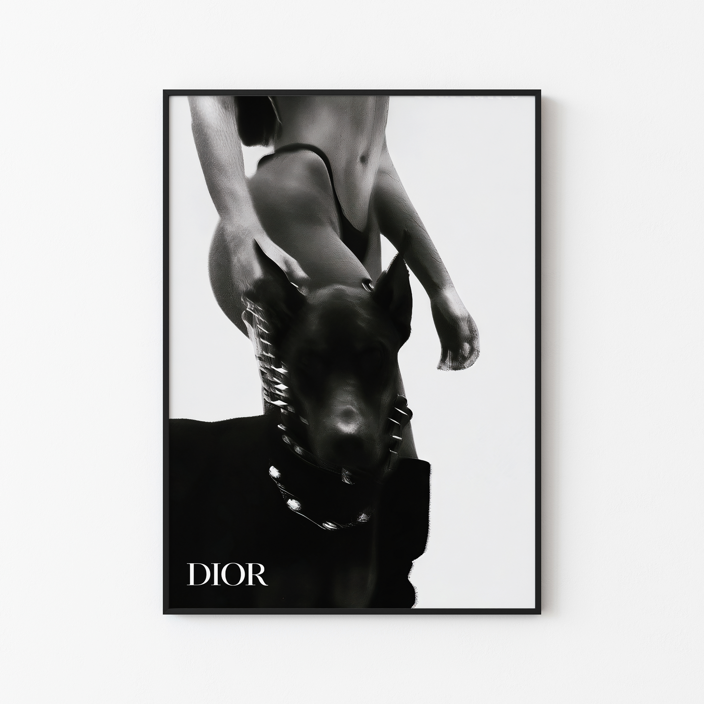 Dior Dobermann Poster