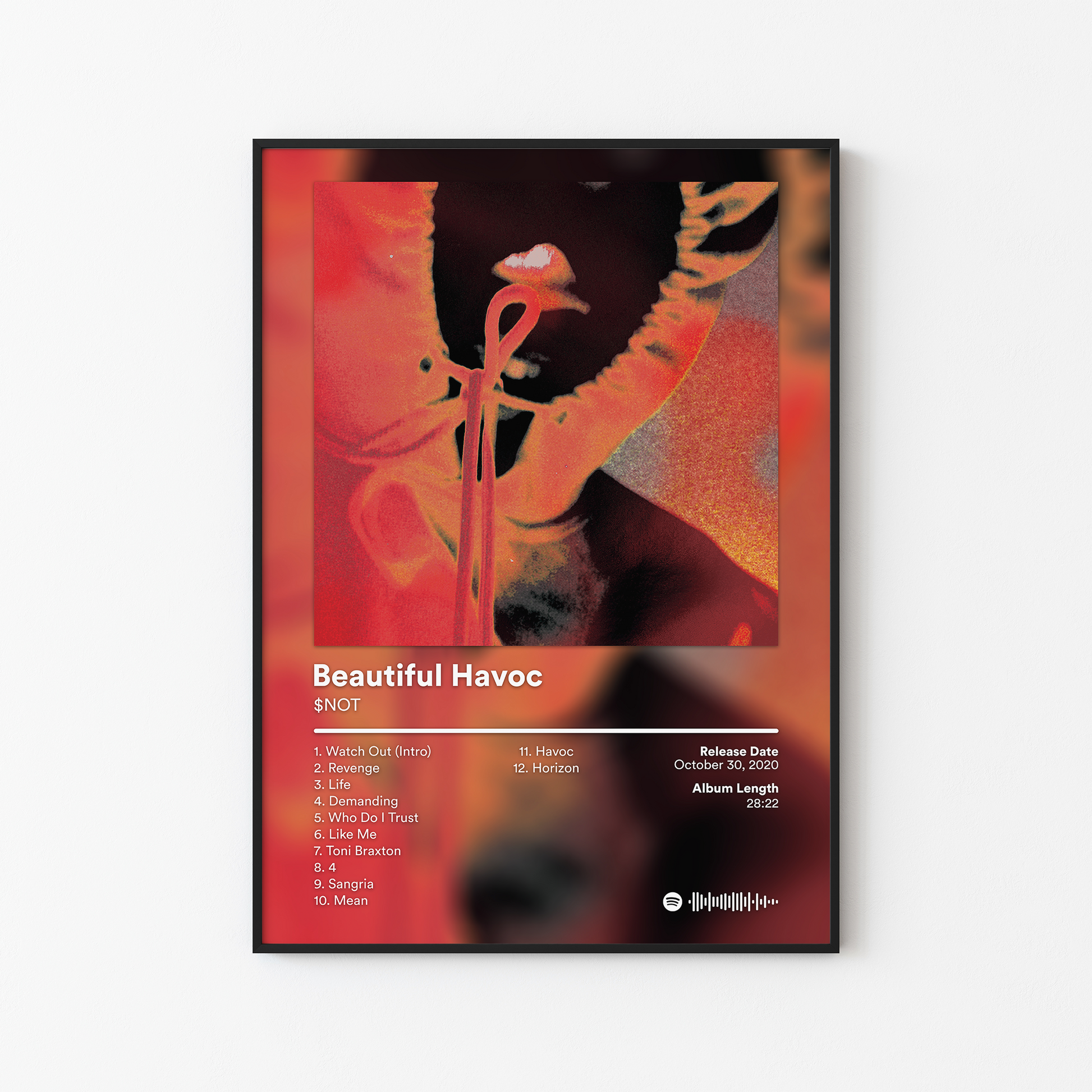 SNOT Beautiful Havoc Album Poster