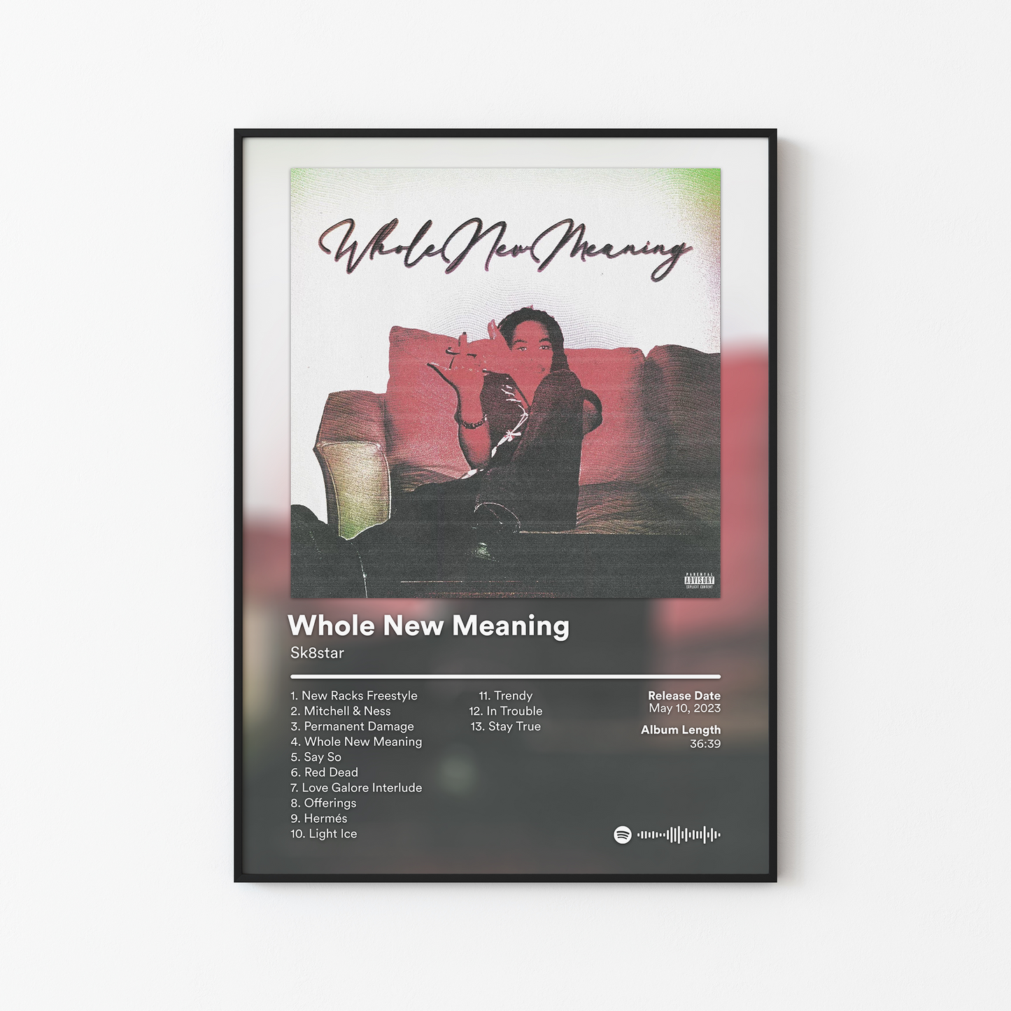 Sk8star Whole New Meaning Album Poster