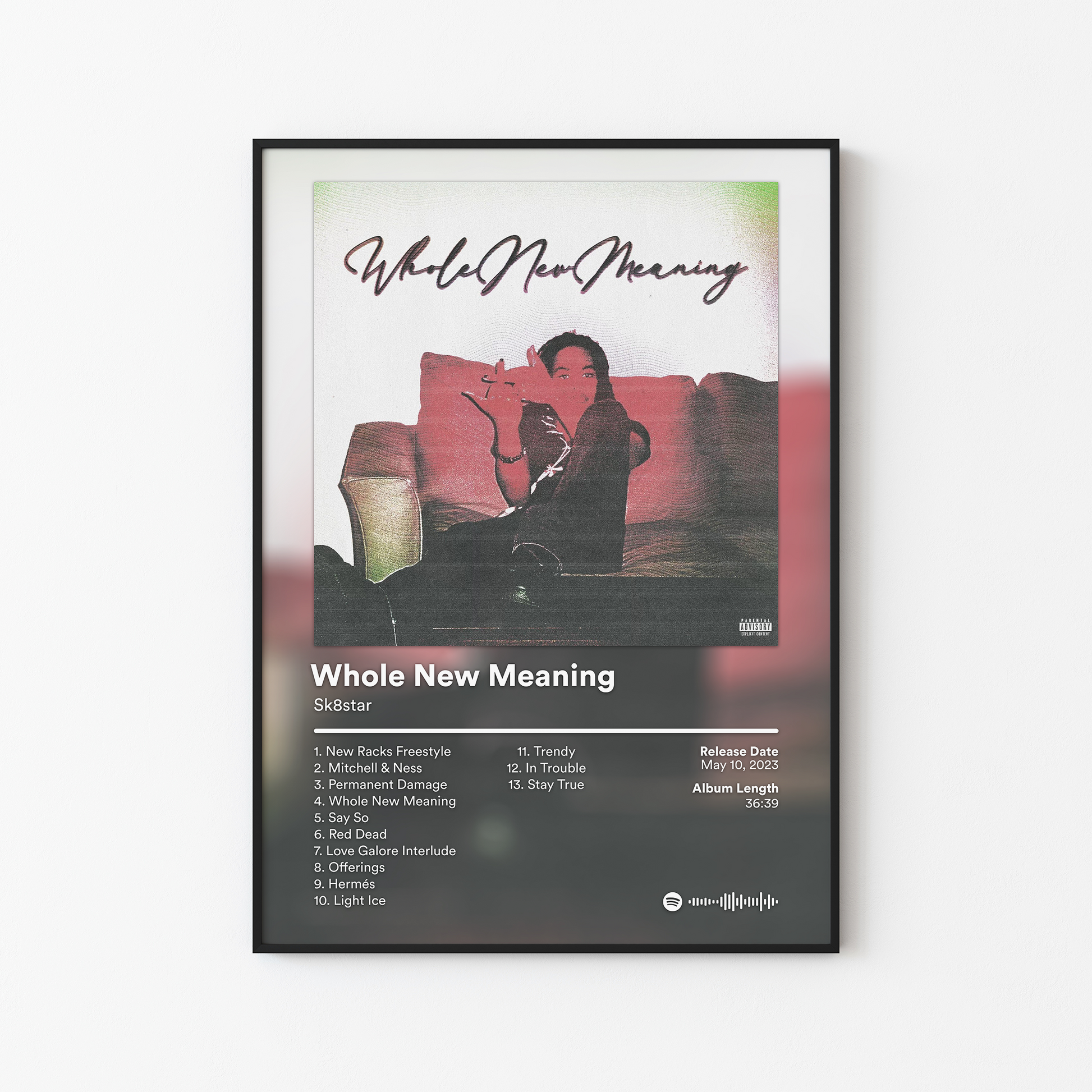 Sk8star Whole New Meaning Album Poster