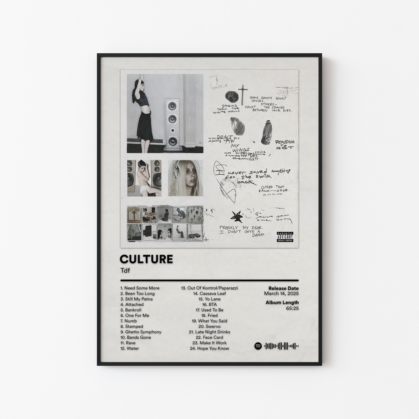 Tdf CULTURE Album Poster