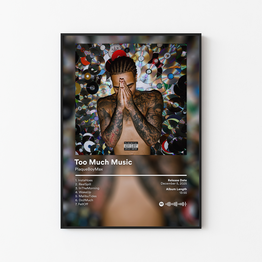 PlaqueBoyMax Too Much Music Album Poster